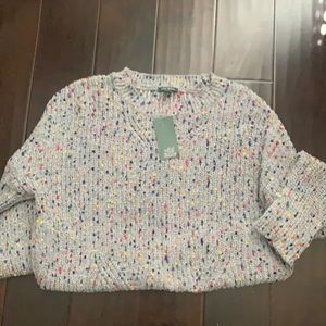 NWT Wild Fable sweater XXL